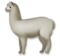 Llama