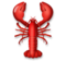 Lobster