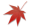Maple Leaf