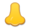 Nose