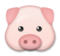 Pig Face
