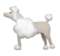 Poodle