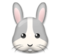 Rabbit Face