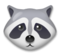 Raccoon