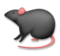 Rat