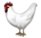 Rooster