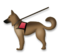 Service Dog