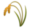 Sheaf of Rice