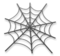 Spider Web
