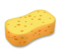 Sponge Sponge