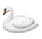 Swan
