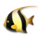 Tropical Fish
