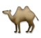 Two-Hump Camel