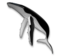 Whale