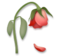 Wilted Flower