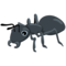 Ant