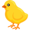 Baby Chick