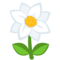 Blossom
