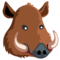 Boar