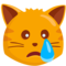 Crying Cat