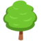 Deciduous Tree