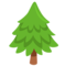 Evergreen Tree