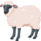 Ewe