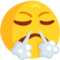 Face with Steam From Nose