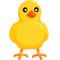 Front-Facing Baby Chick