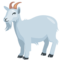 Goat