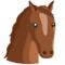 Horse Face
