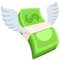 Money with Wings