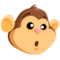 Monkey Face