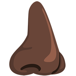 Nose: Dark Skin Tone