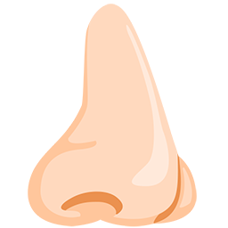 Nose: Light Skin Tone