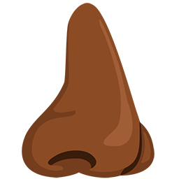 Nose: Medium-Dark Skin Tone