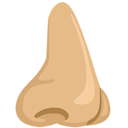 Nose: Medium-Light Skin Tone