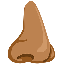 Nose: Medium Skin Tone