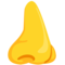 Nose