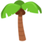 Palm Tree