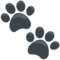 Paw Prints