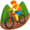 Person Mountain Biking