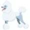 Poodle