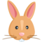 Rabbit Face