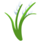 Sheaf of Rice