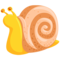 Snail