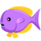Tropical Fish