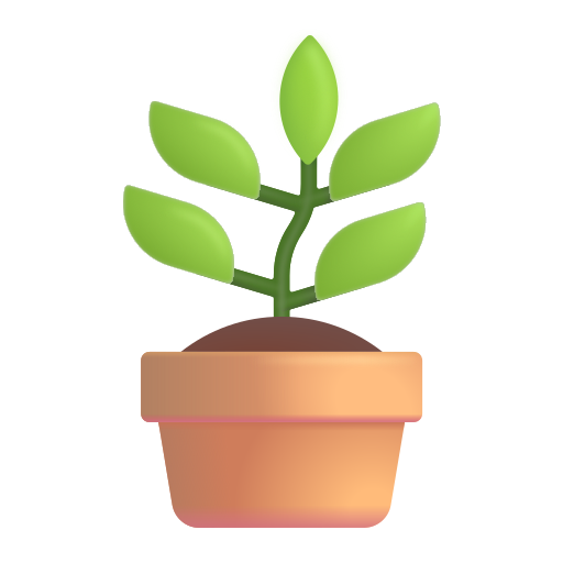 Planta De Maceta Planta De Maceta