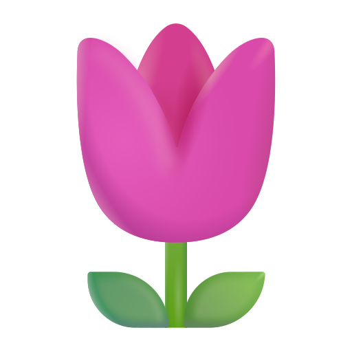 Tulipán Tulipán