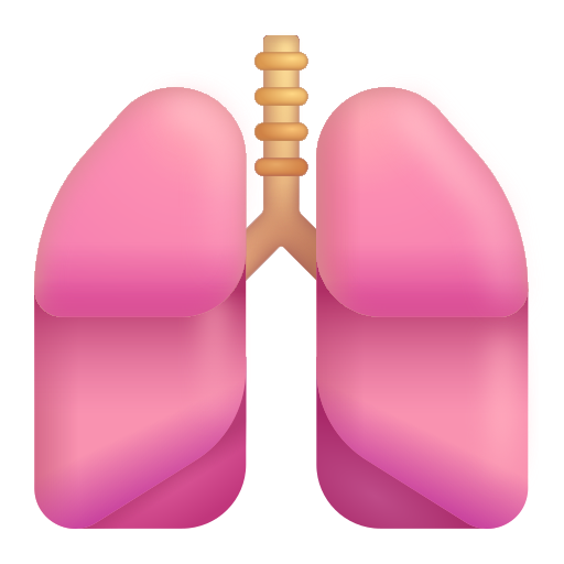Pulmones Pulmones